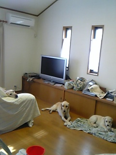 c0114121_17353164.jpg