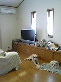 c0114121_1735516.jpg