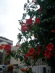 c0003723_2162359.jpg