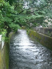 c0003723_217936.jpg