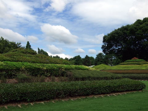 f0147025_20534520.jpg