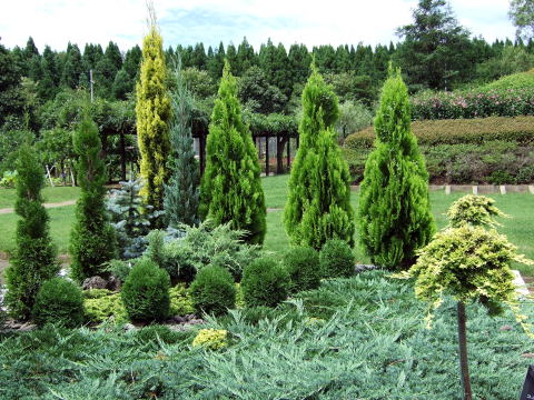 f0147025_20541629.jpg