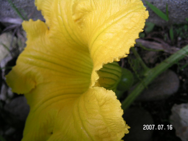 a0020929_18273261.jpg