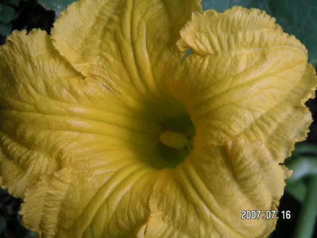 a0020929_18294257.jpg