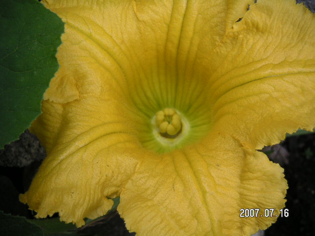 a0020929_1829932.jpg