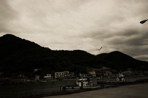a0053732_19495521.jpg