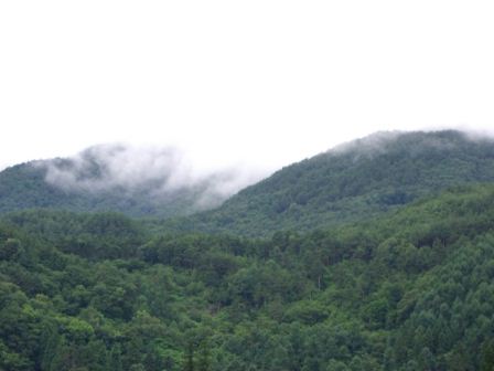 f0039538_21334149.jpg
