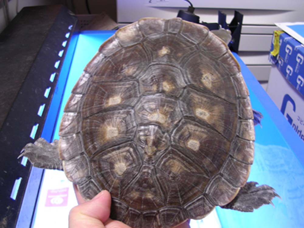 e0119439_2245910.jpg