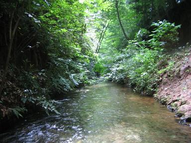 f0005043_19191166.jpg