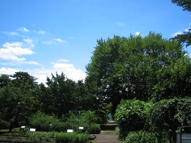 f0005043_19422889.jpg