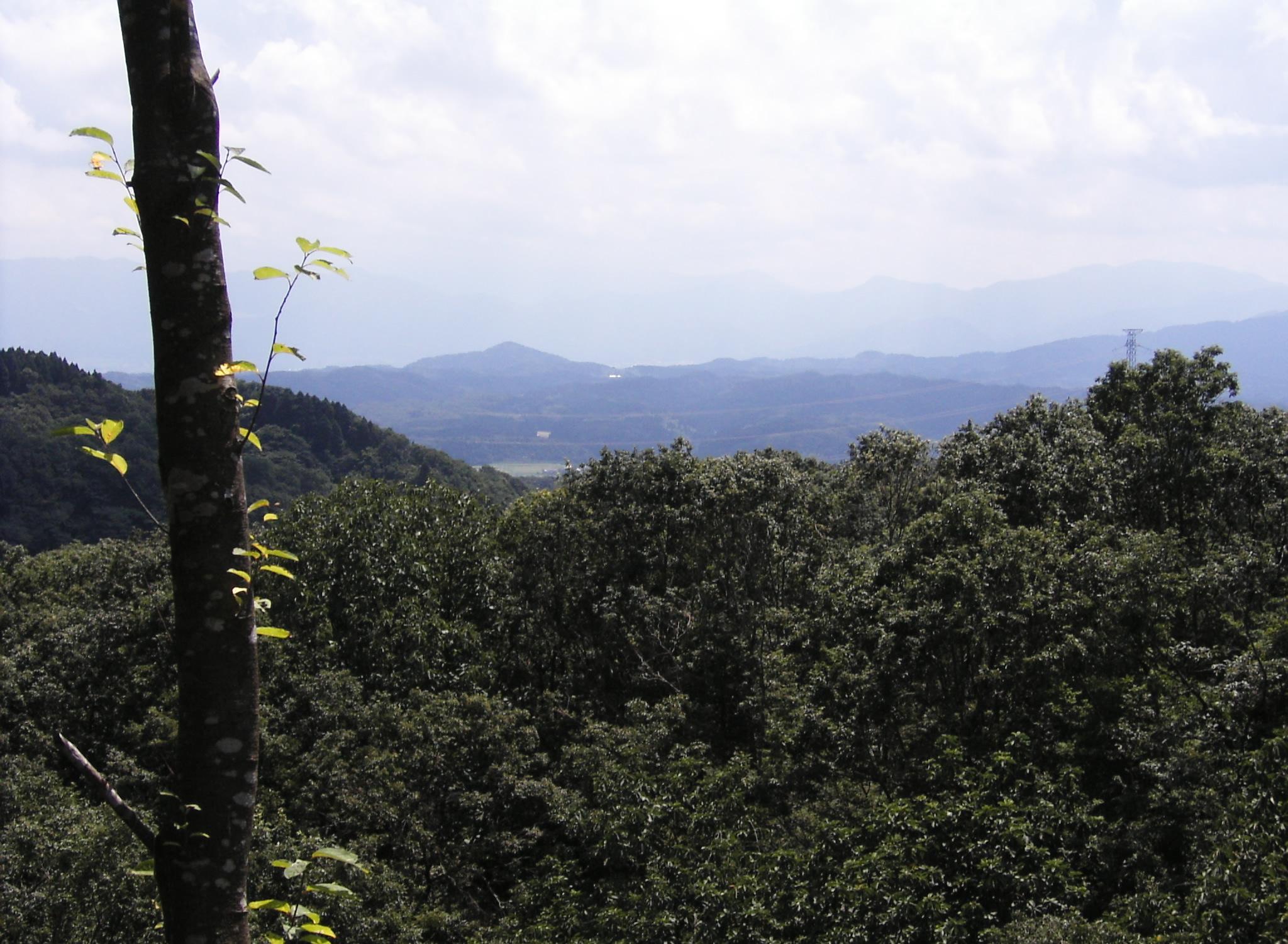 c0026846_2024526.jpg