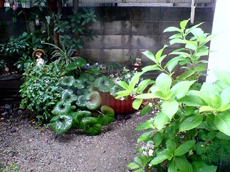 e0034047_23524046.jpg