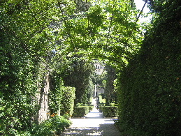 a0091348_131958.jpg