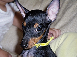 c0123149_1540030.jpg