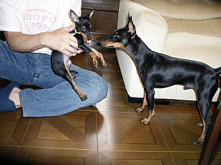 c0123149_15502636.jpg