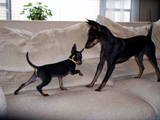 c0123149_15532137.jpg