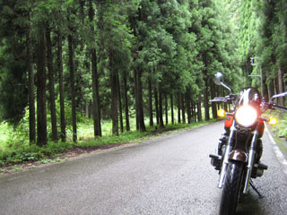 a0052952_23515846.jpg