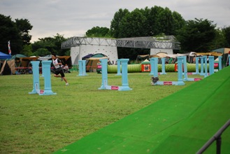 d0110453_23145498.jpg