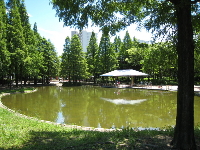 f0148762_1922595.jpg