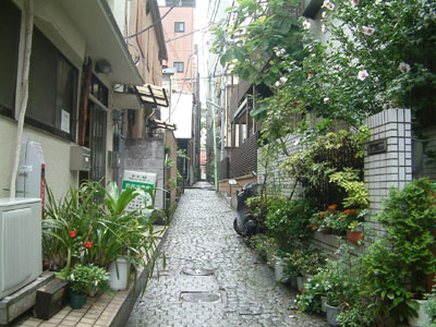 c0050264_2333418.jpg