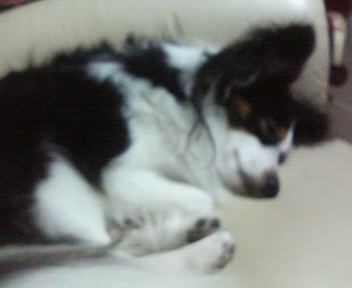 a0045872_22114023.jpg