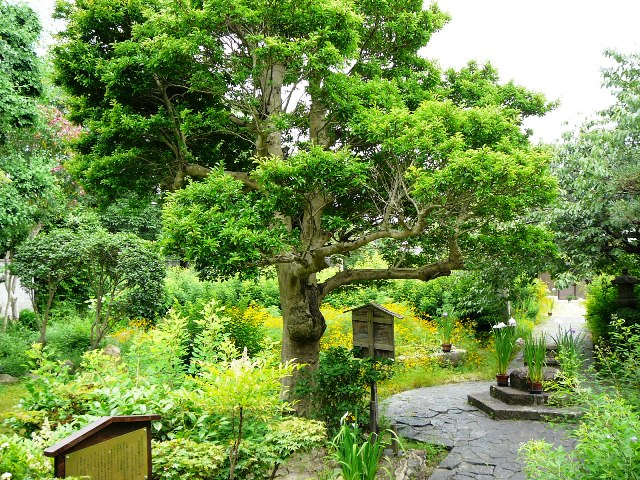 d0042474_14122798.jpg