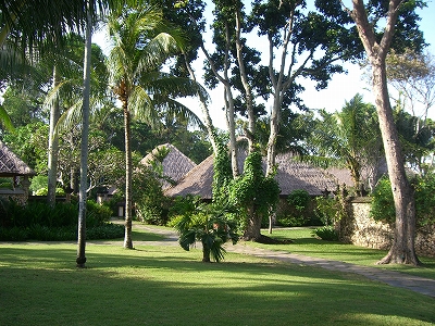 b0101284_23264577.jpg