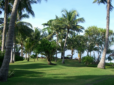 b0101284_2341795.jpg