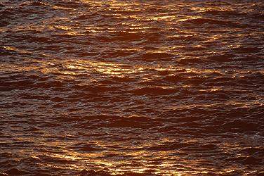 c0046587_2102785.jpg