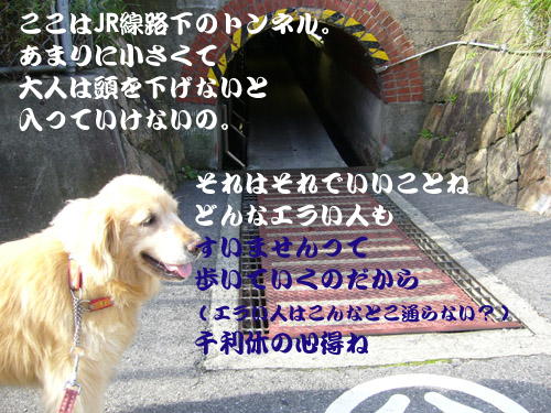 c0085188_1051139.jpg