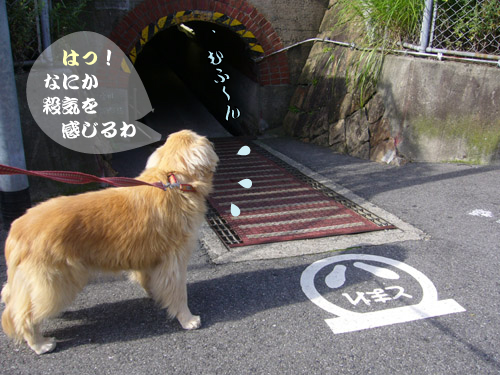c0085188_1061763.jpg