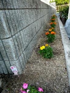 e0110089_21153168.jpg