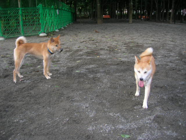 c0123890_16272563.jpg