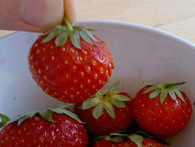 f0139994_7181850.jpg