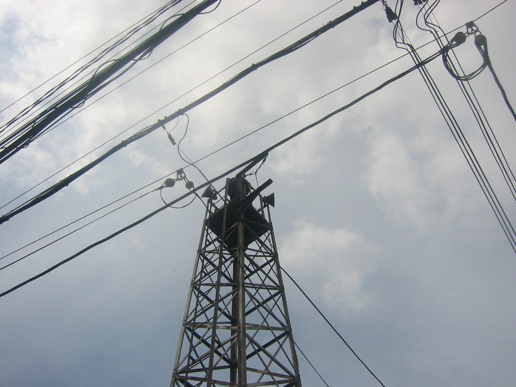 f0013998_13591145.jpg