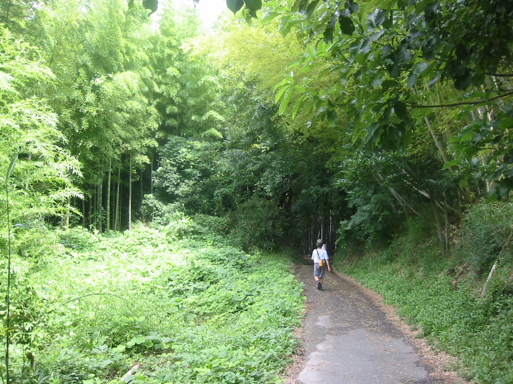 f0013998_13593877.jpg