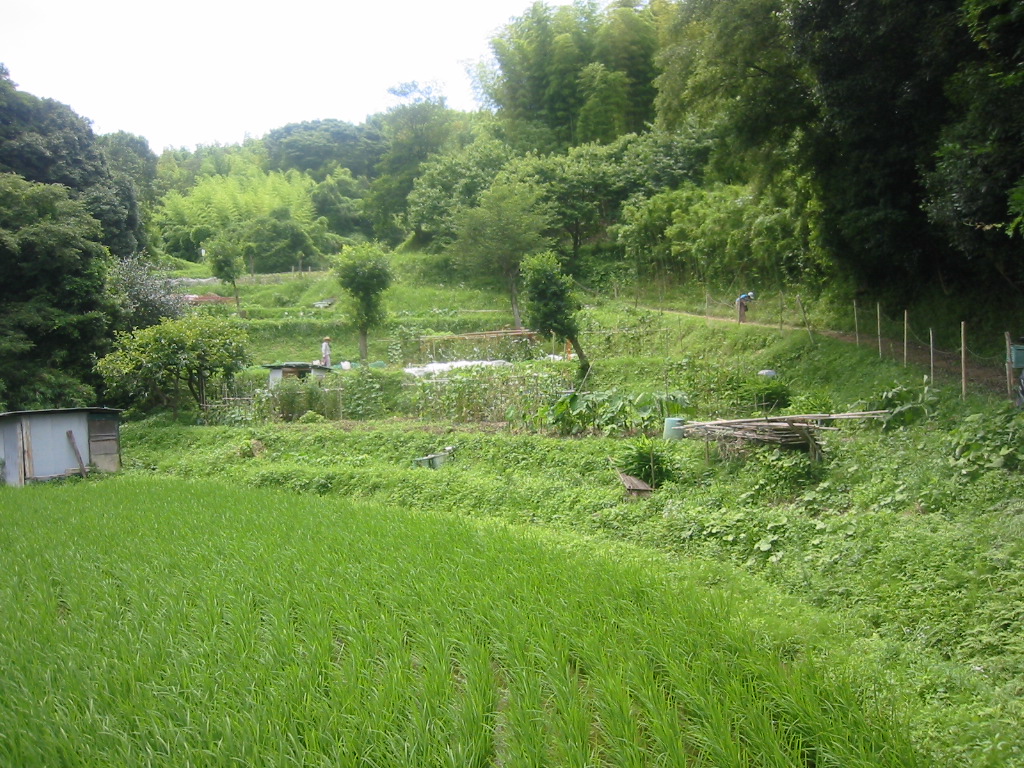 f0013998_13594883.jpg