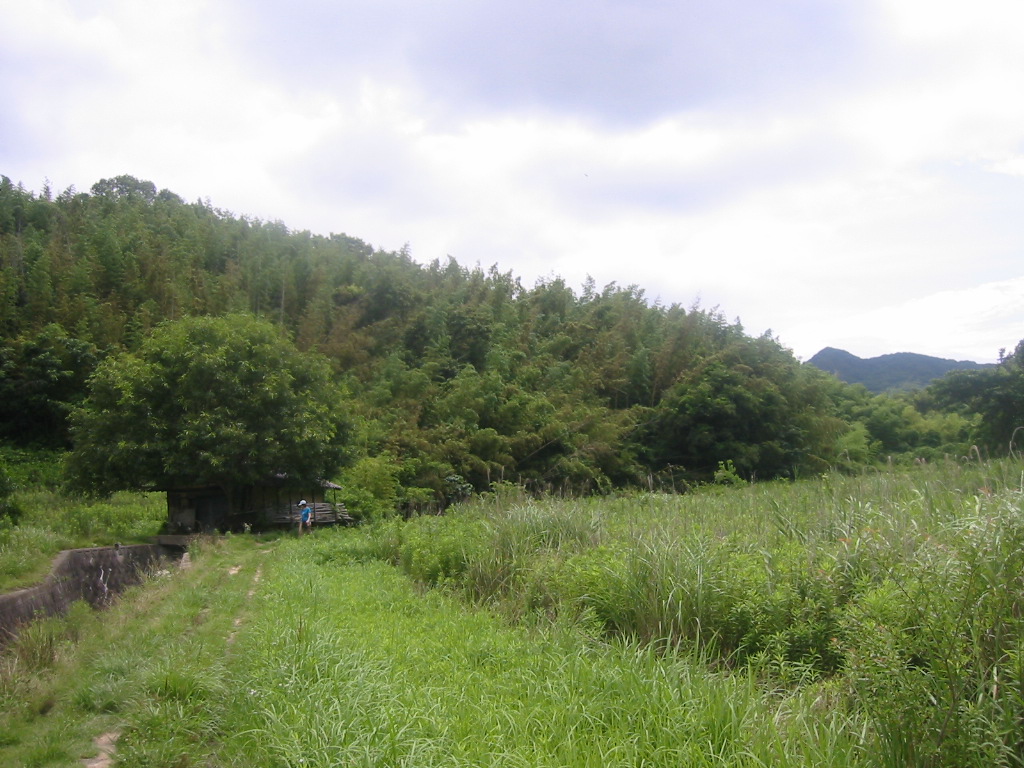 f0013998_13595718.jpg