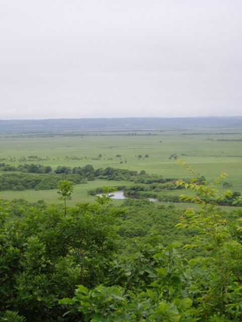 c0068403_4225541.jpg