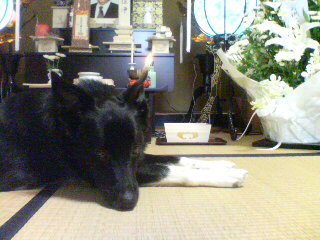 f0090009_7471930.jpg