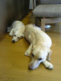 c0114121_20101776.jpg