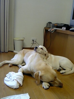 c0114121_210120.jpg
