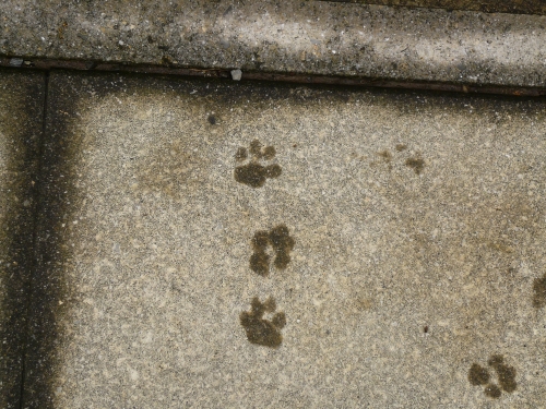 f0128821_2234071.jpg