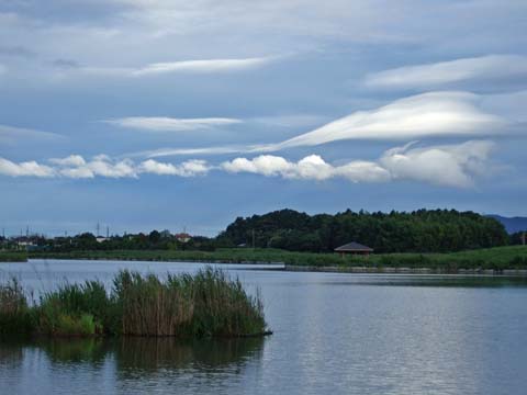 f0147025_22453577.jpg