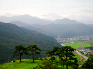 城の敷地の一部には大きな木が数本、それを越して眺める町並みと、山々。美しく雄大な光景です。