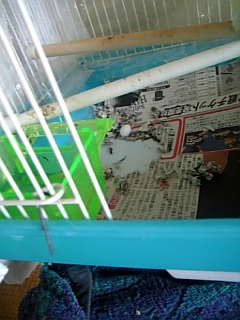 d0039036_7312588.jpg