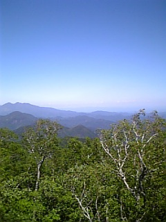 c0104737_1214756.jpg