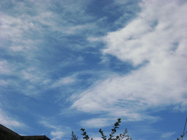 b0097747_22293885.jpg