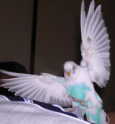 c0054148_143146.jpg
