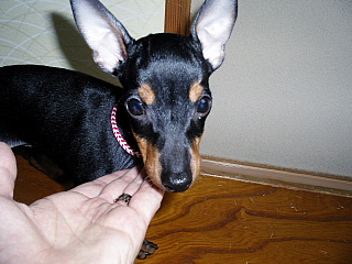 c0123149_183537100.jpg